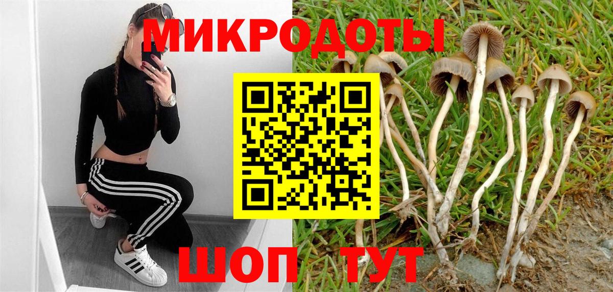 Галлюциногенные грибы ЛСД Королёв