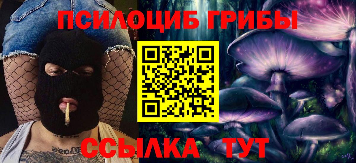 Королёв  Псилоцибиновые грибы мухоморы  Вход с VPN 